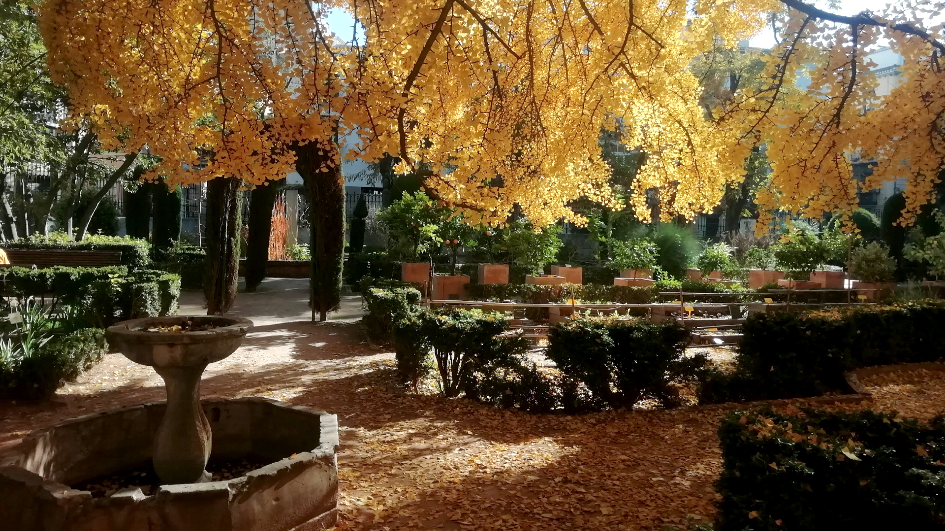 Fotografía de una de las zonas del Jardín Botánico de la Universidad de Granada