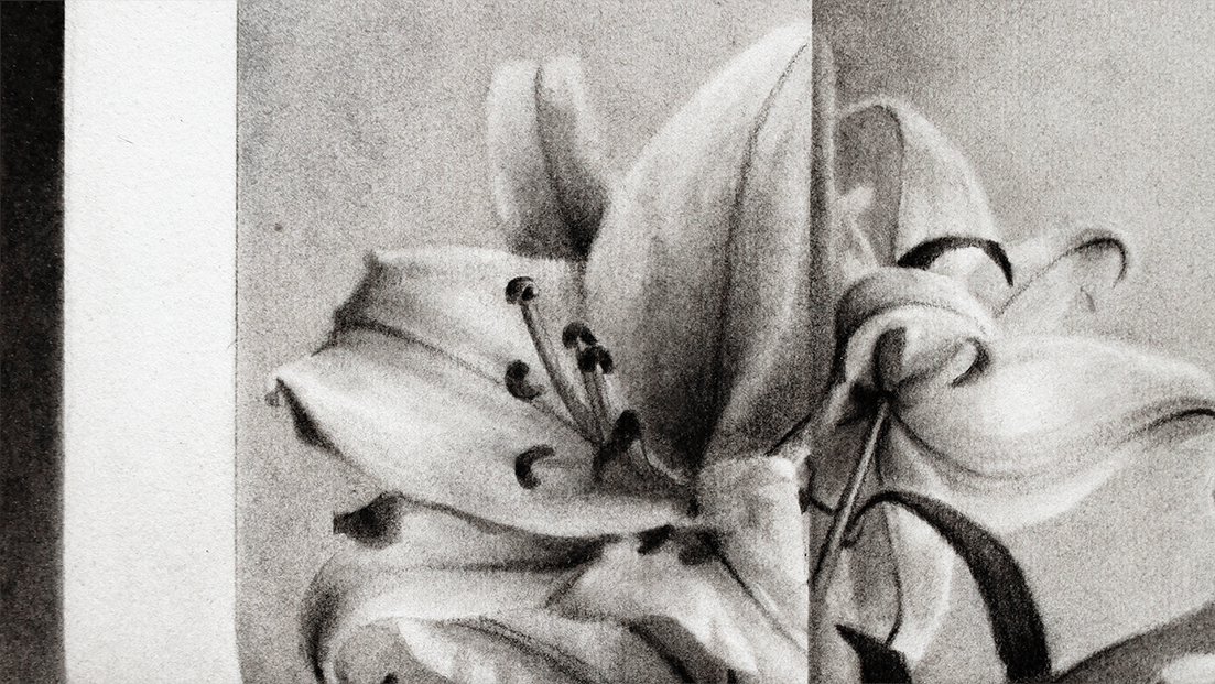 Dibujo de una flor en blanco y negro