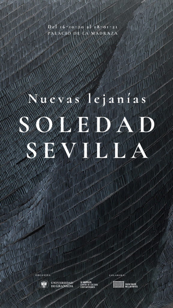 Exposición "Nuevas lejanías", de Soledad Sevilla