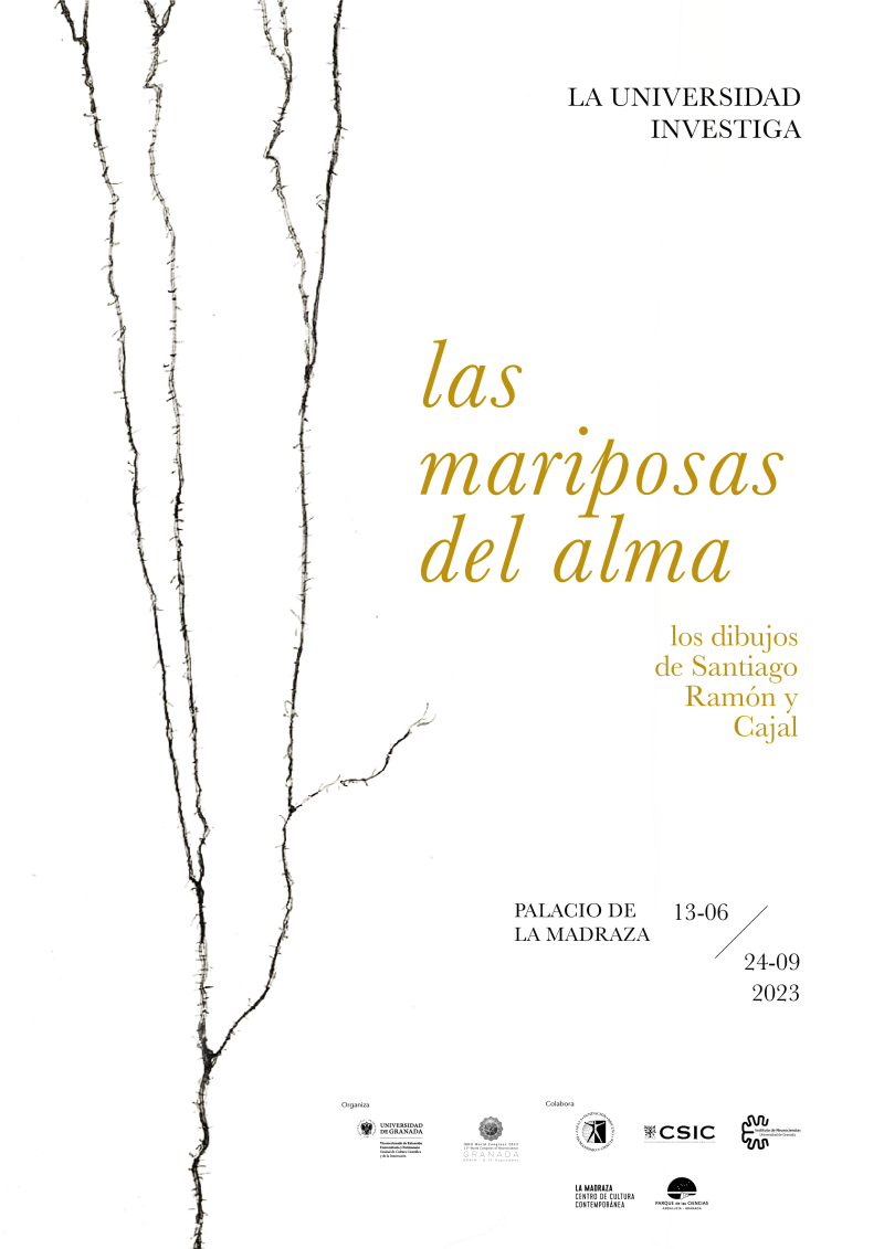 Exposición Las mariposas del alma Cartel de la actividad