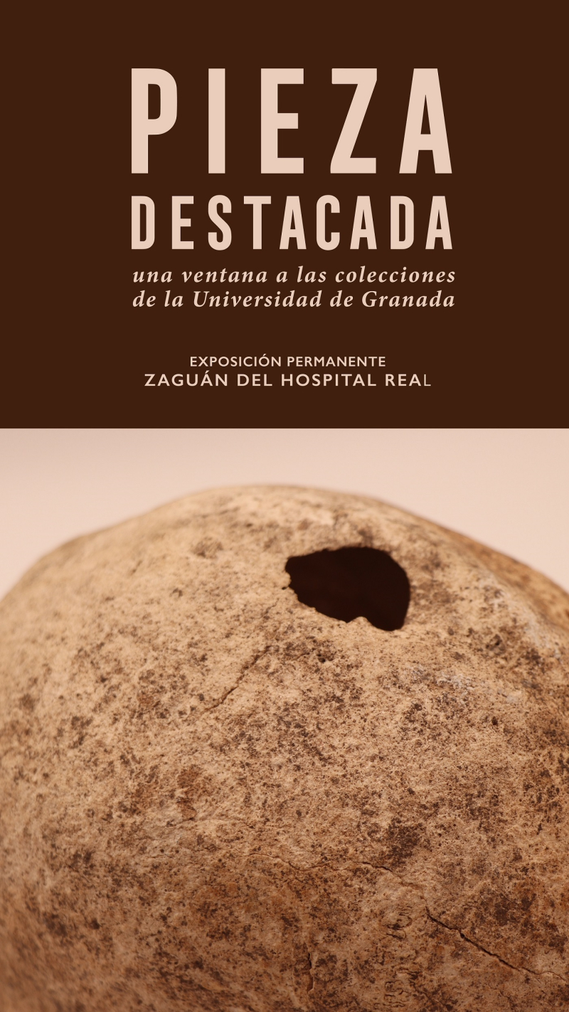 Cráneos humanos trepanado Fotografía detalle de un cráneo trepanado
